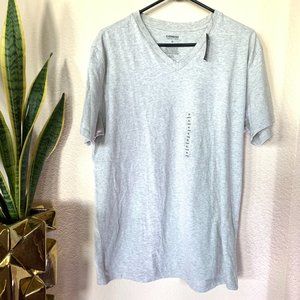 2 for $20 Express Men's Stretch V-Neck Shirt